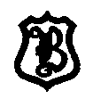 Badgers CC cap badge